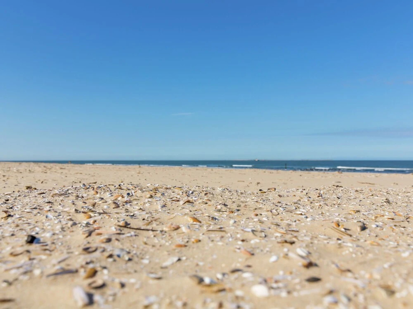 Modern Chalet With Dishwasher, Near the Beach