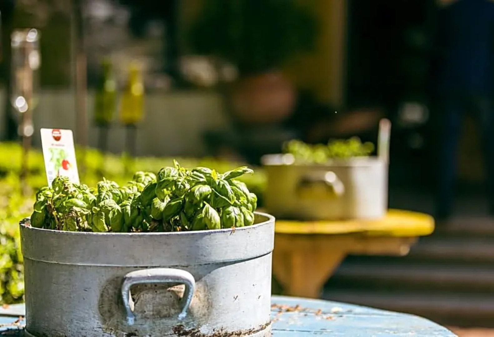 Hotel Ertl & mexican cantina salud