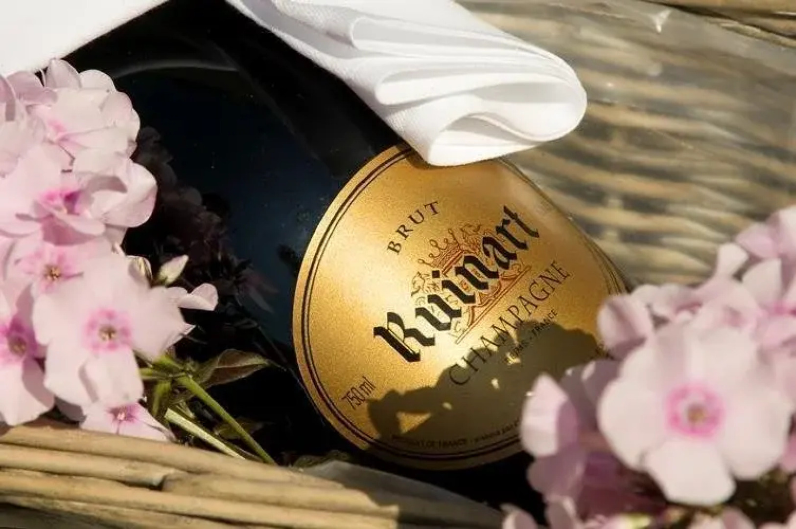 Ringhotel Der Waldkater