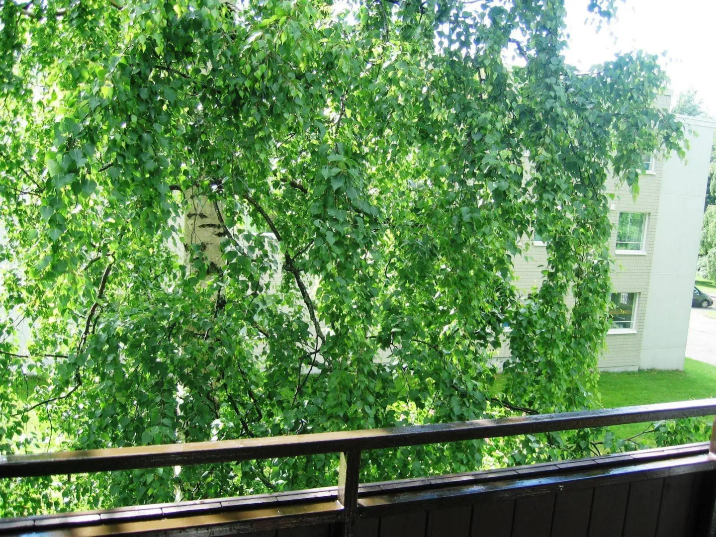 Apartment White Orchidea