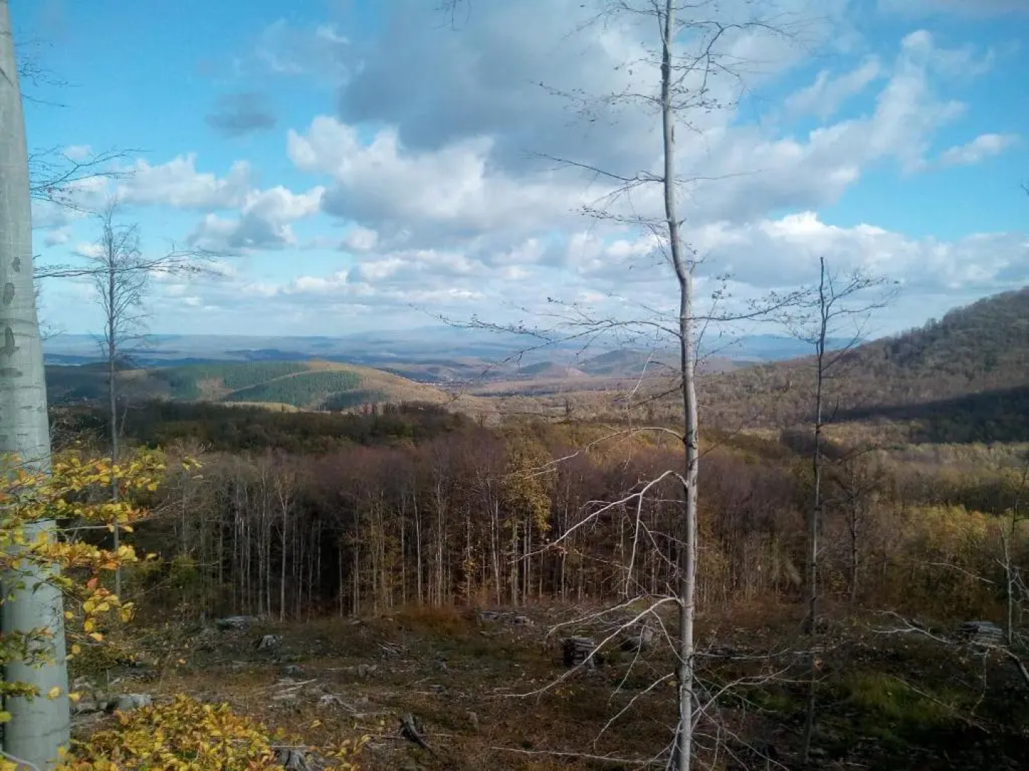 Sára Apartman Parádfürdő
