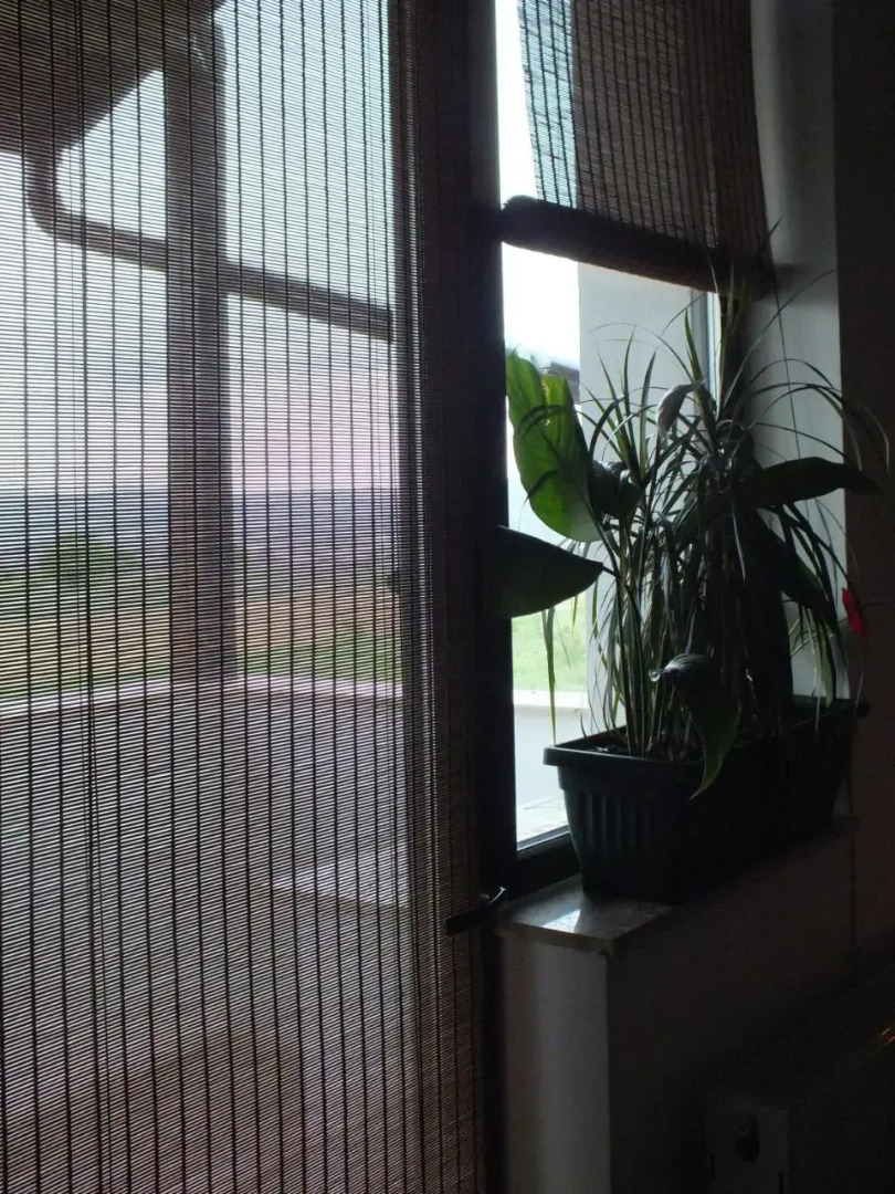 Camere De Inchiriat Onelia