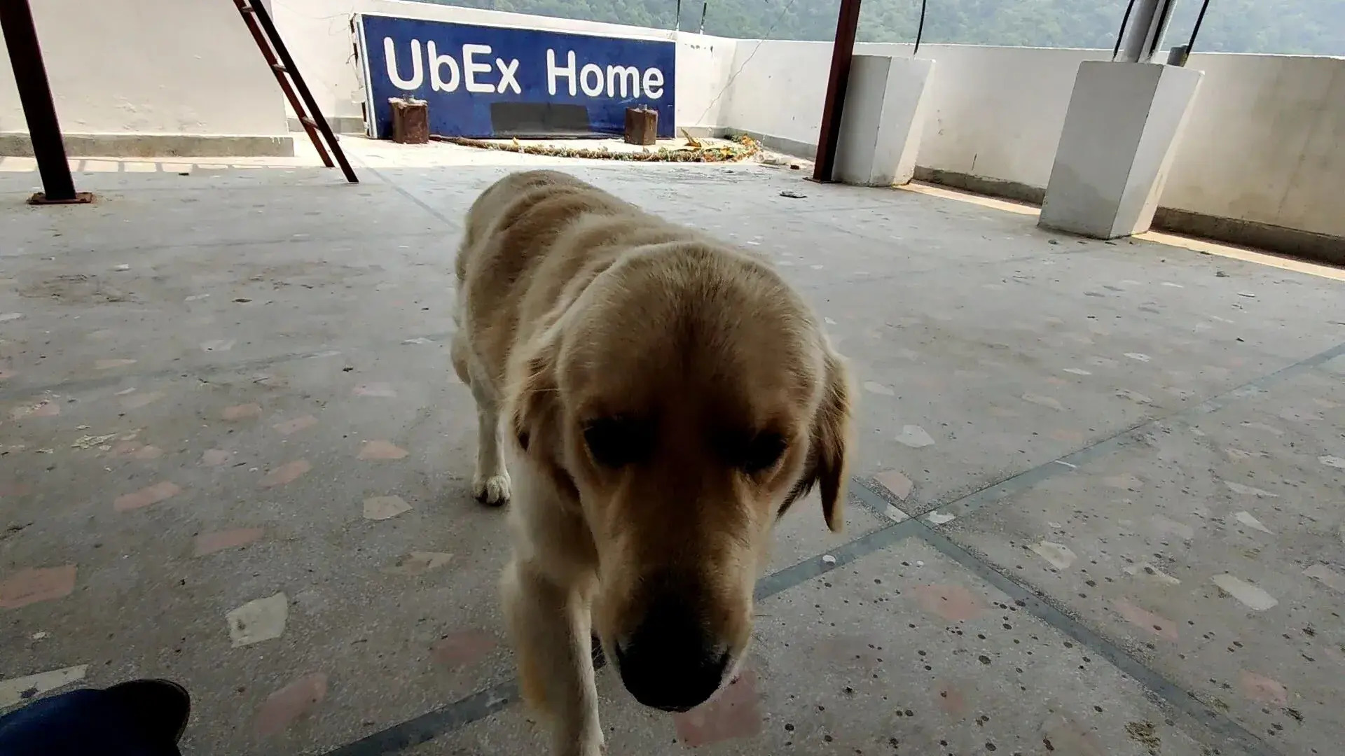 UbEx Home Rishikesh - Hostel