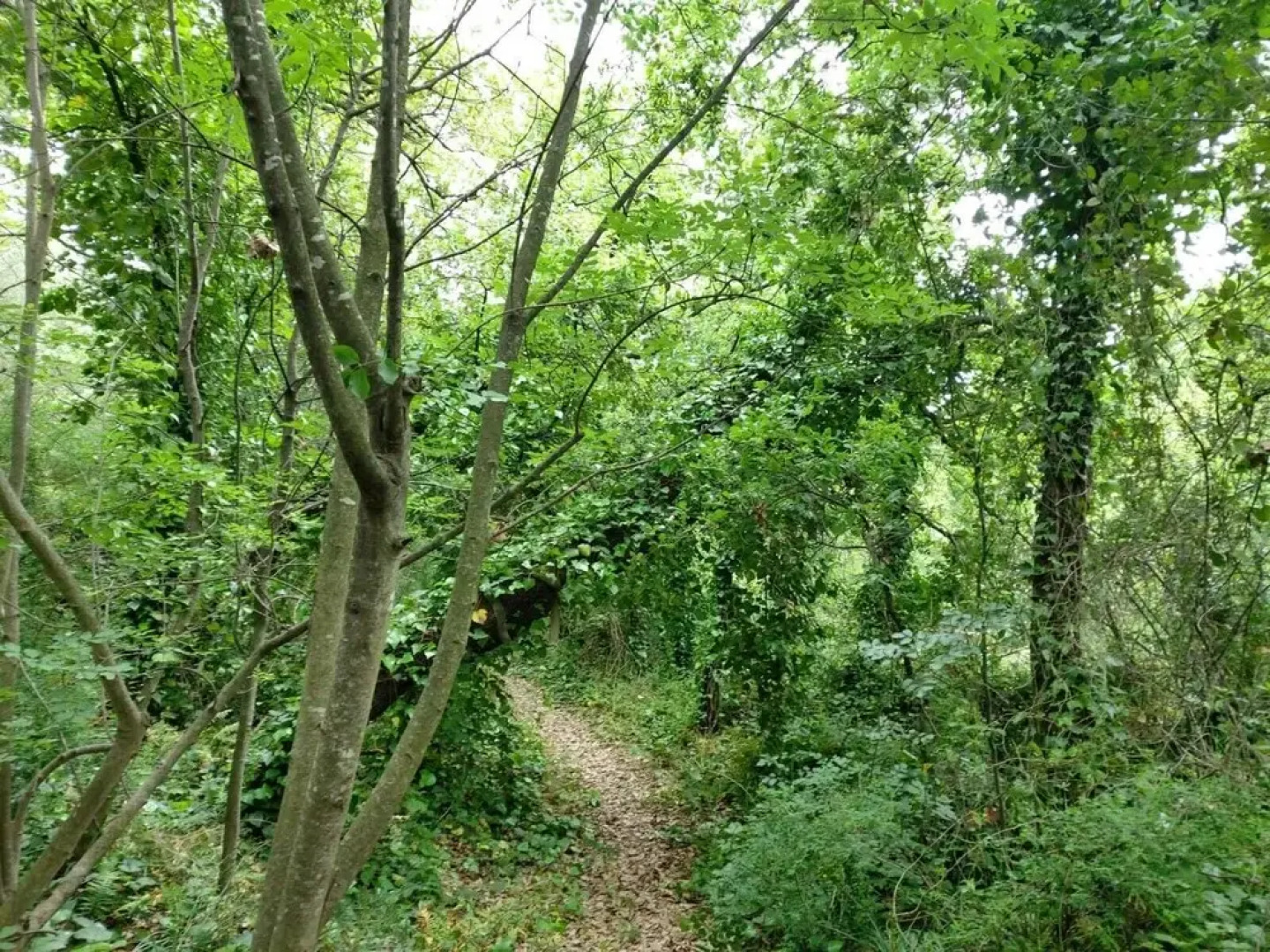 Furaha Villa Etna Trecastagni