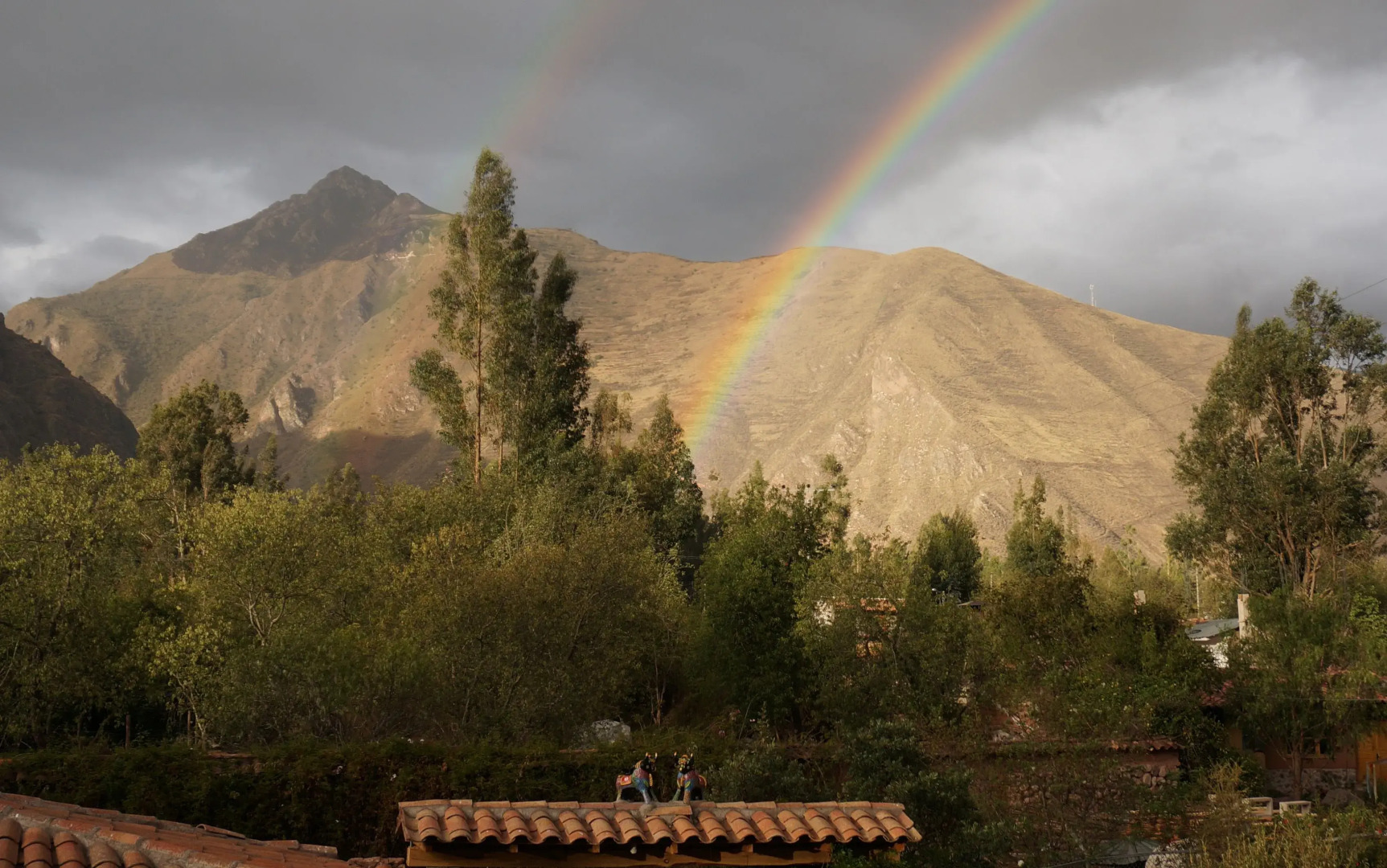 Willka T'ika Essential Wellness