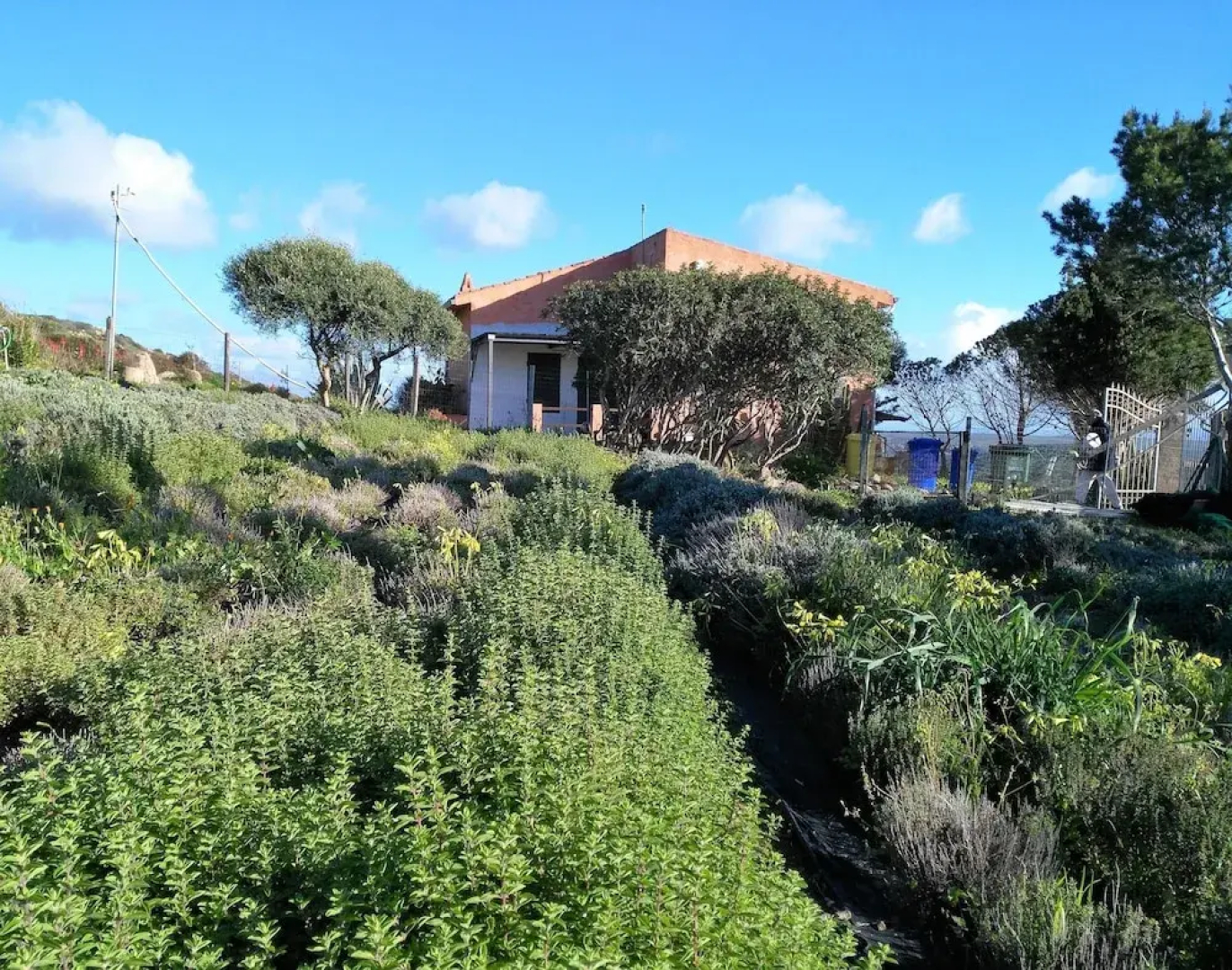 Agriturismo Erbe Matte - Campsite