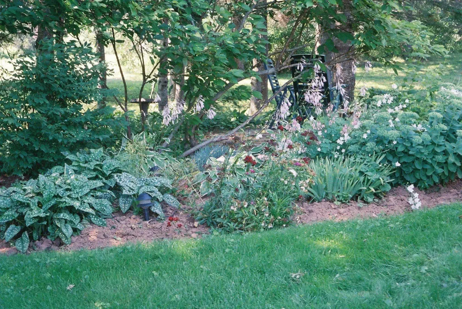 Tulips and Thistle B&B