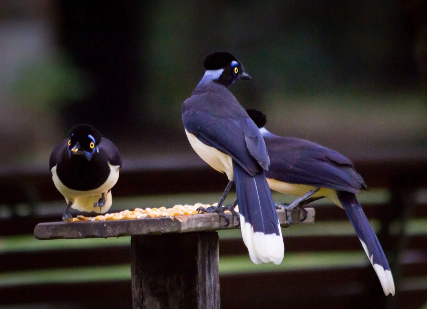 Hotel Santa Esmeralda