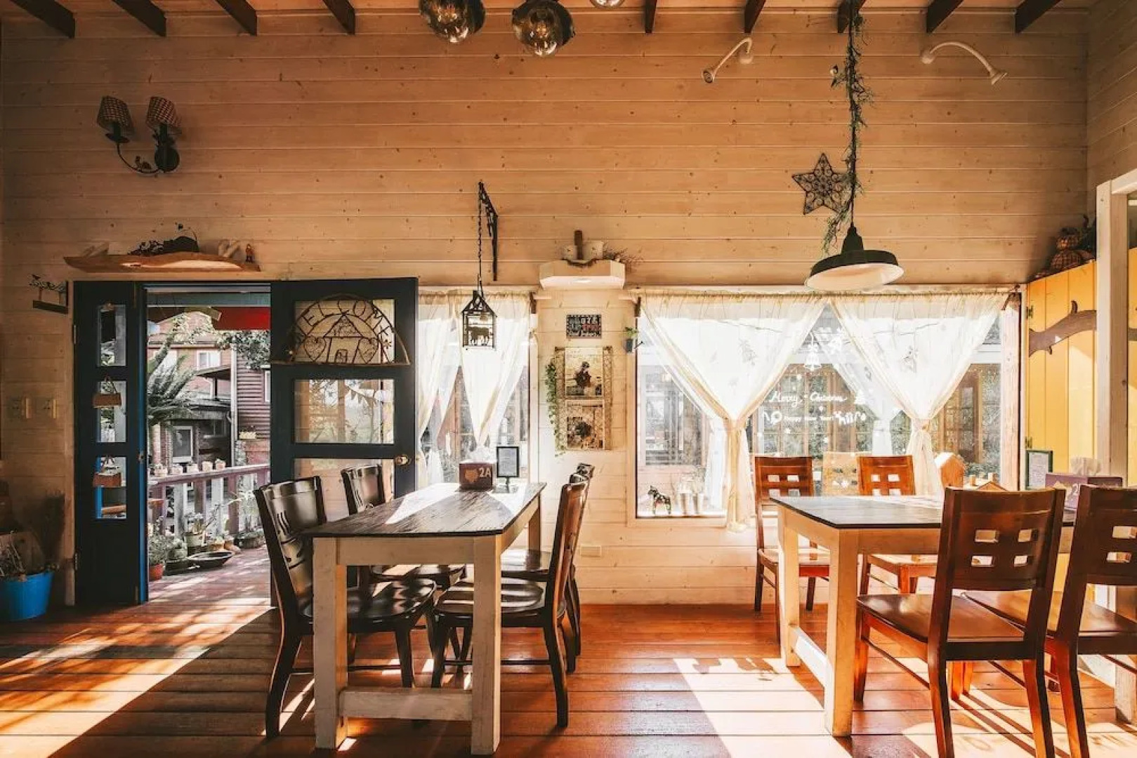 Nanzhuang Olive Tree