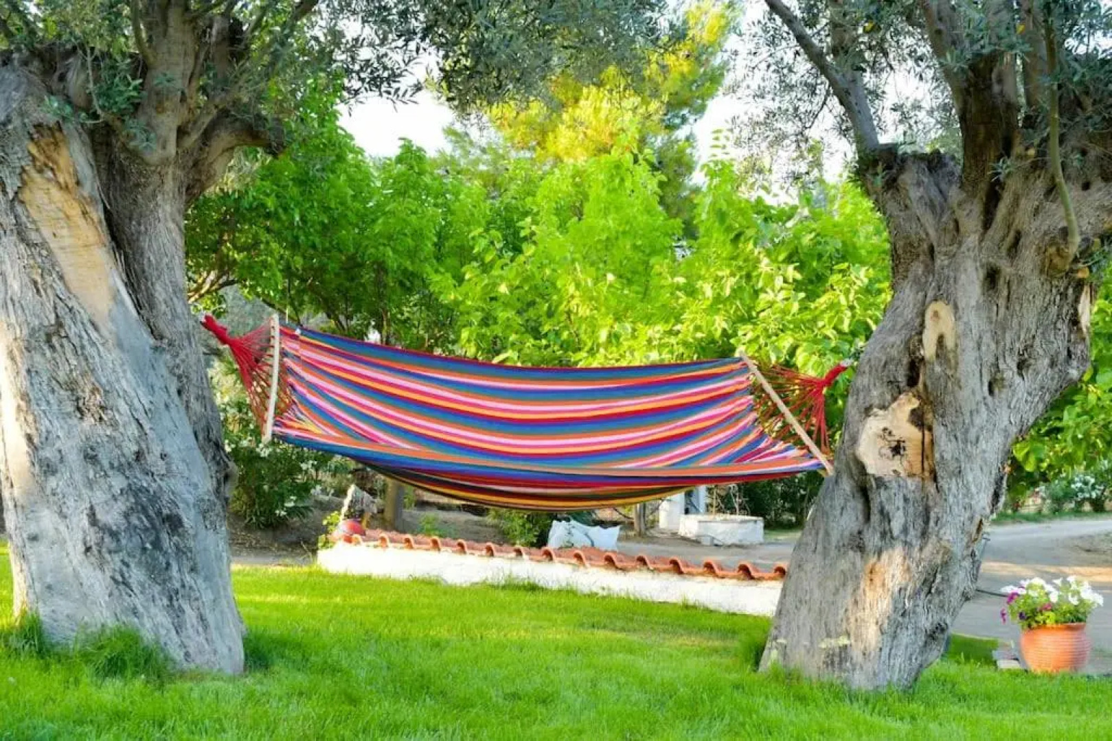 House in 10 acres of grass with horses