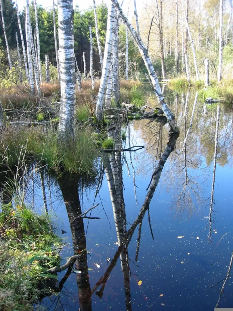 Zentrum für Umwelt und Kultur - Gästehaus und Jugendbildungseinrichtung im Maierhof