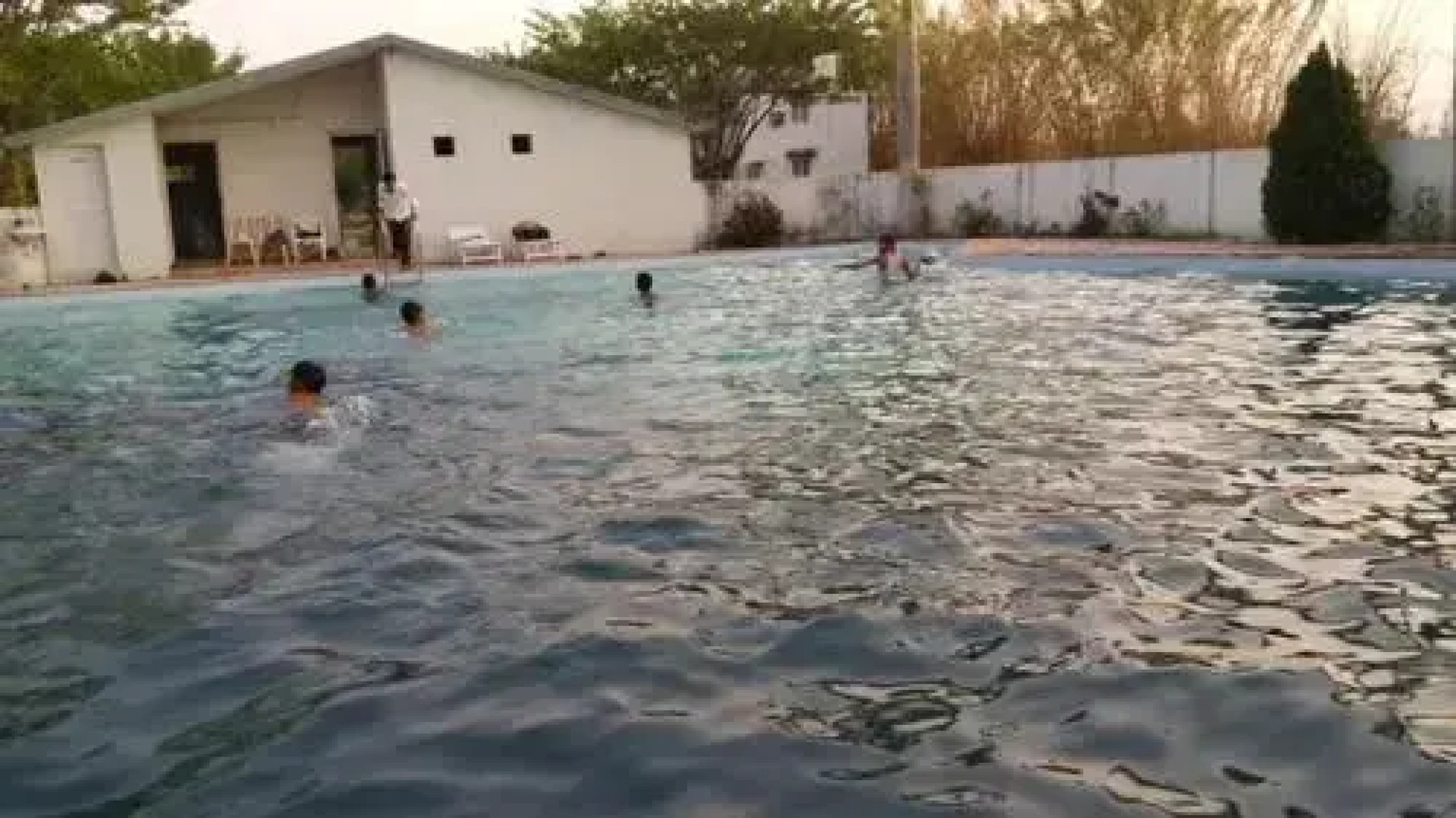 United-21 Tigers Habitat