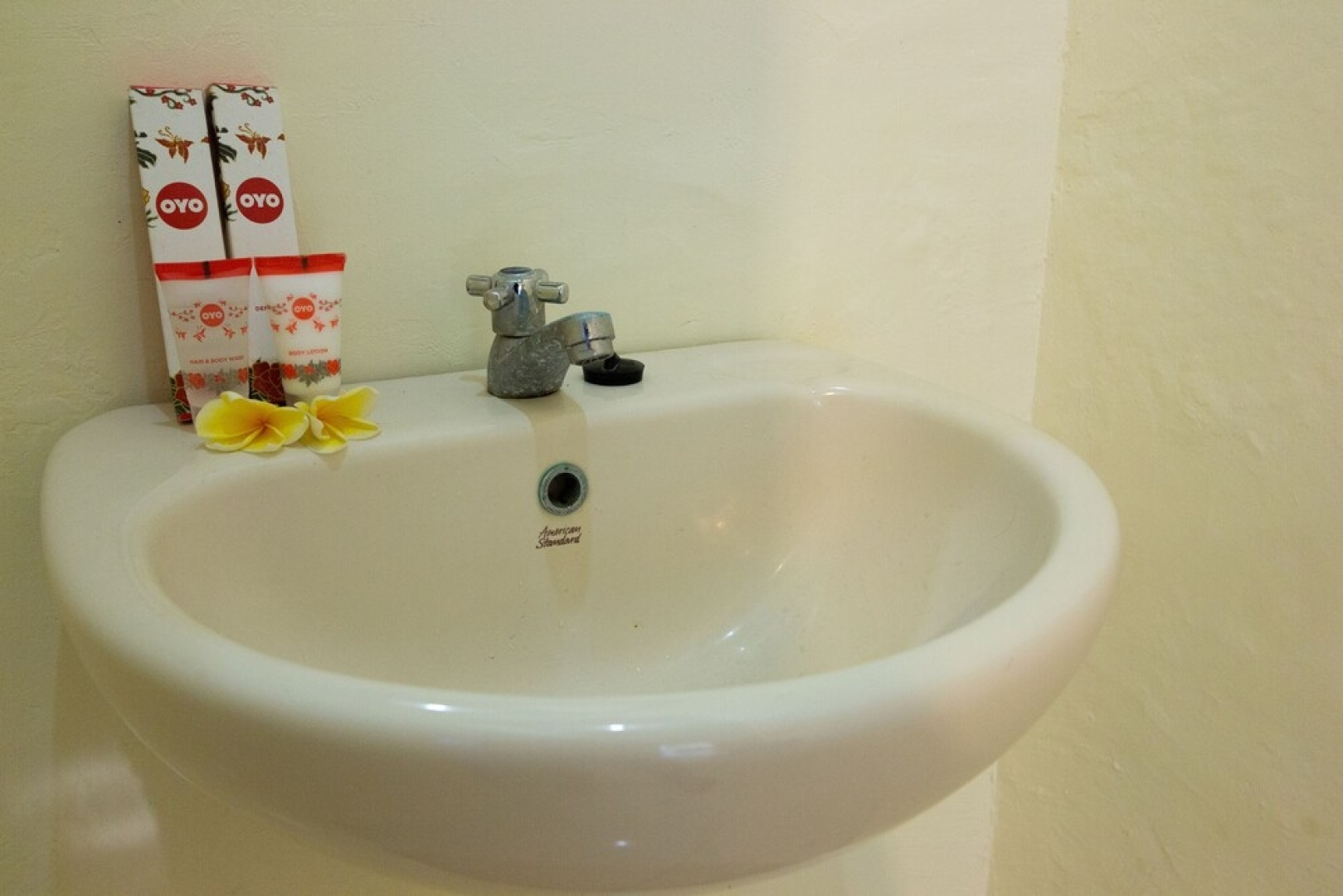 OYO 1358 Rafi Homestay