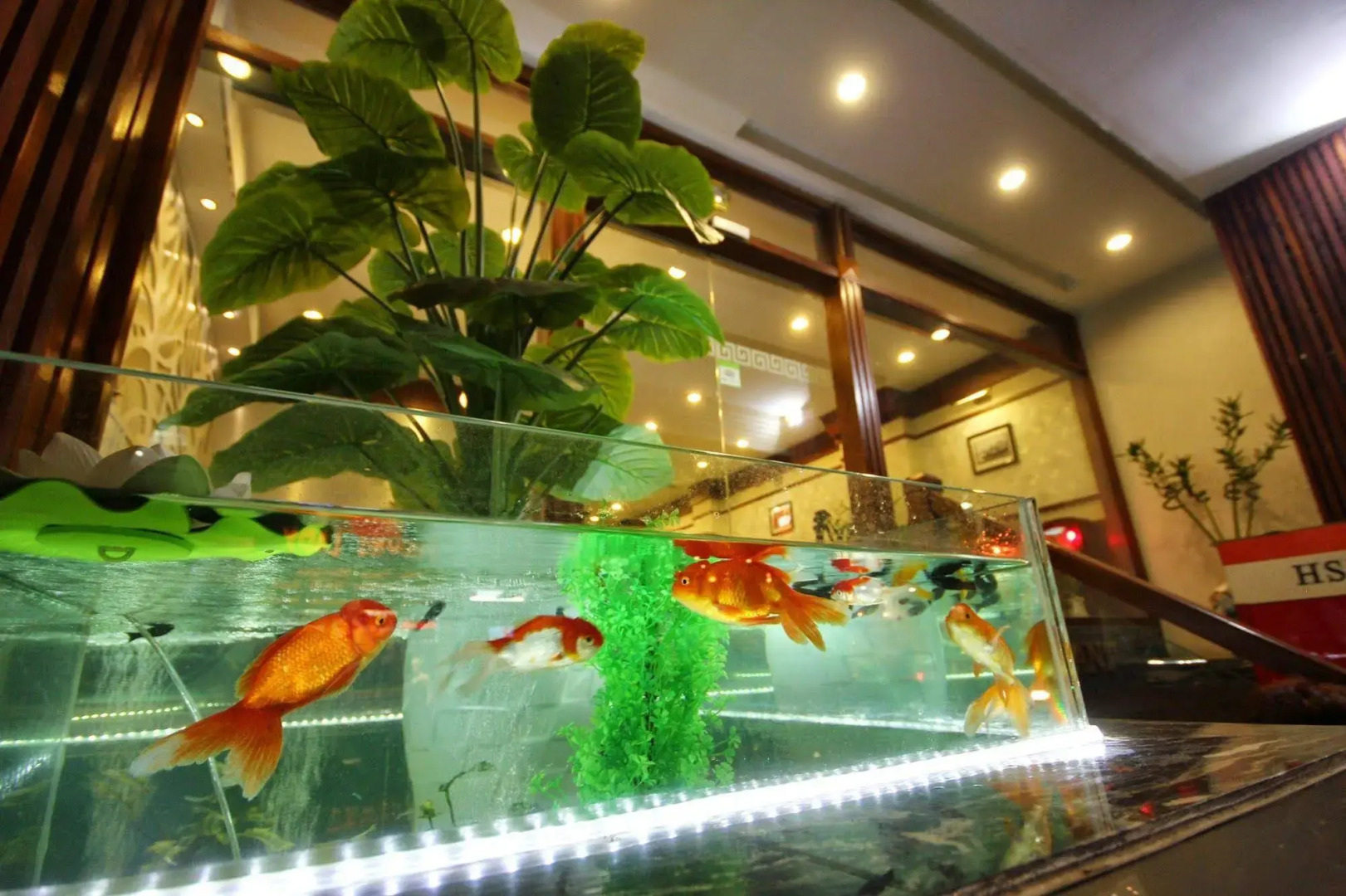 Romantique Hotel De Hanoi