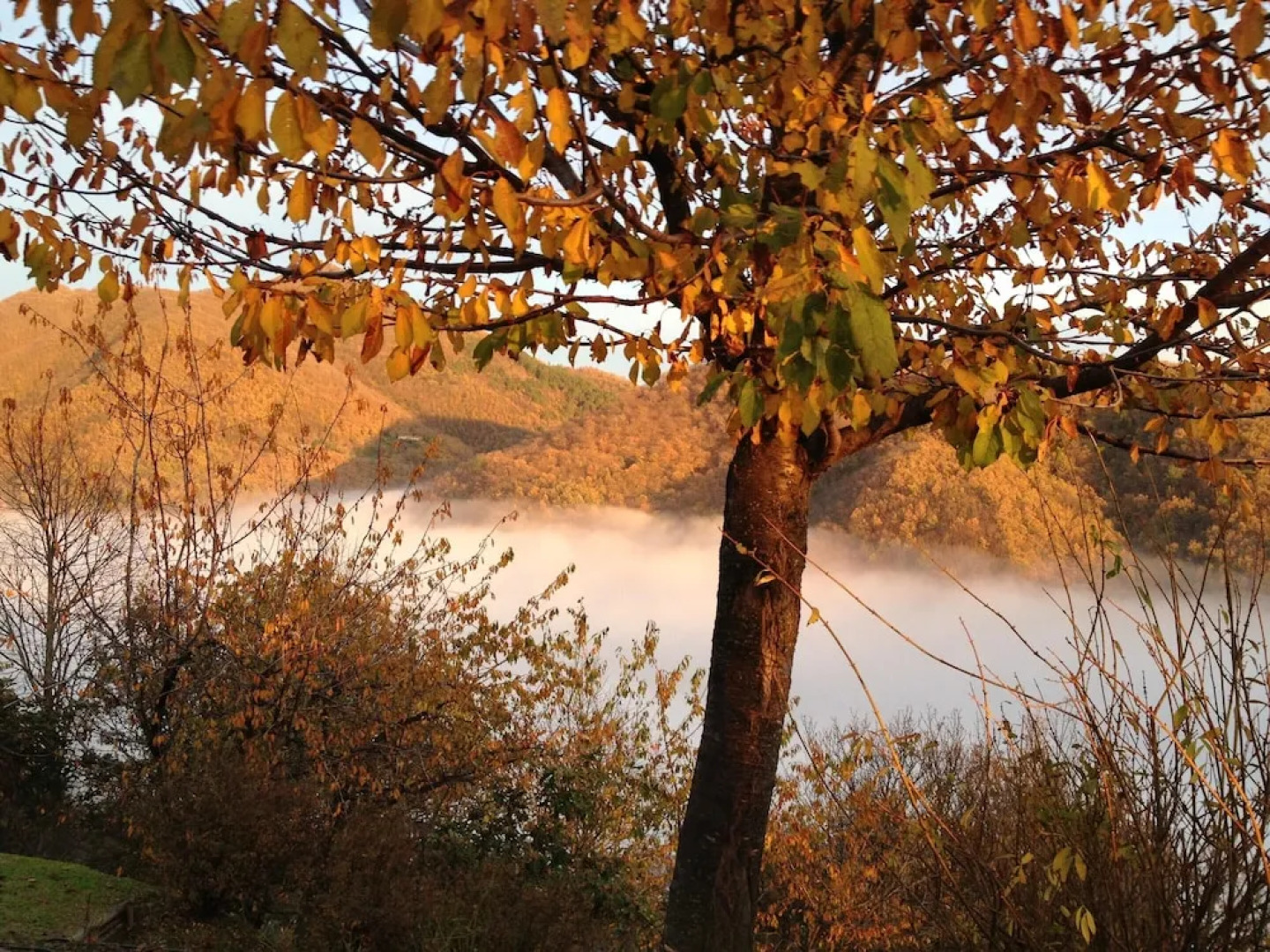 House With 2 Bedrooms in Gattaia, With Pool Access, Enclosed Garden an