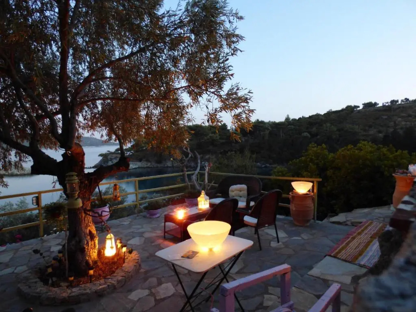 Odyssia near the Seaside