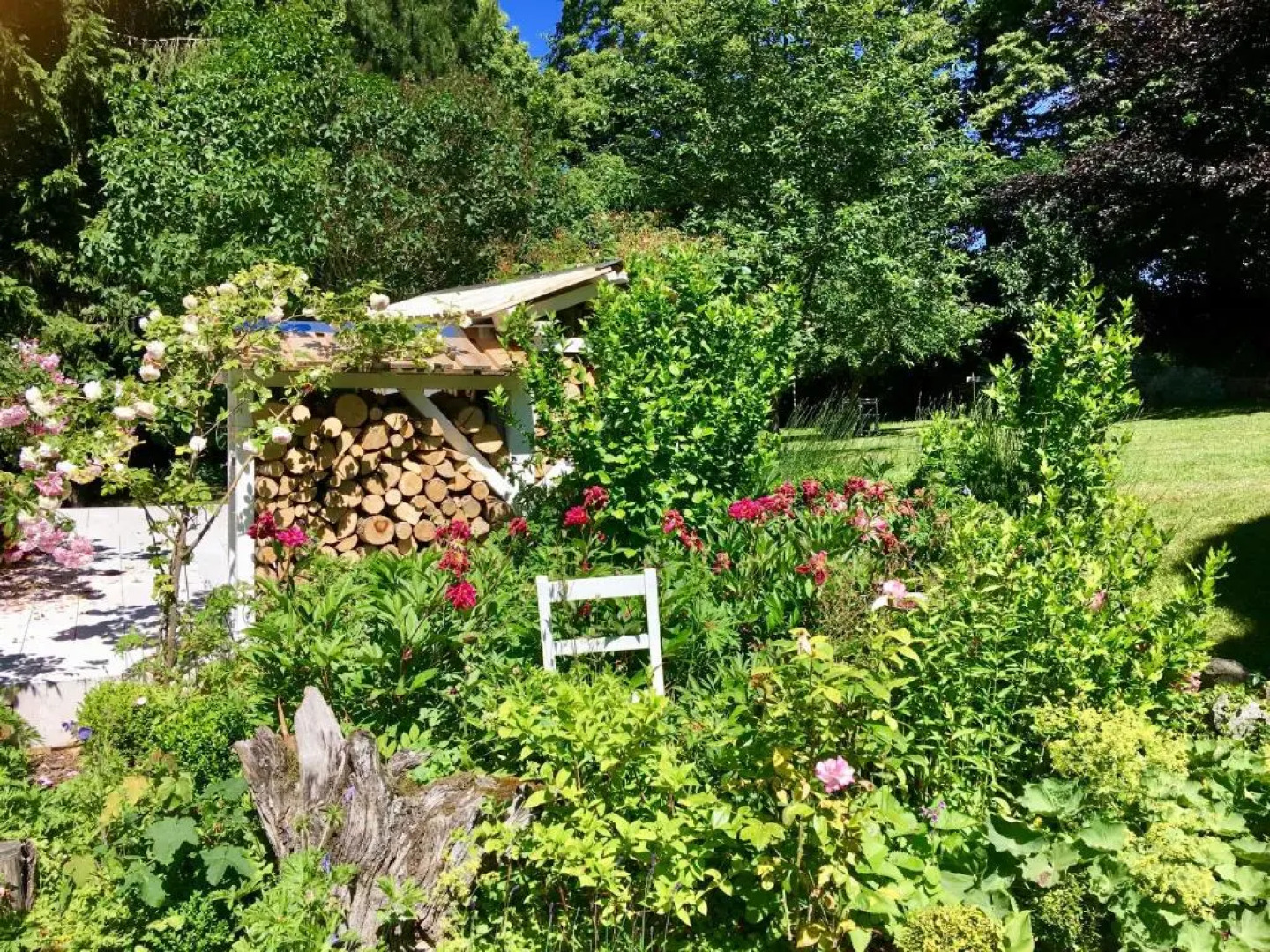 Kleine Ferienwohnungen - Störtebeker