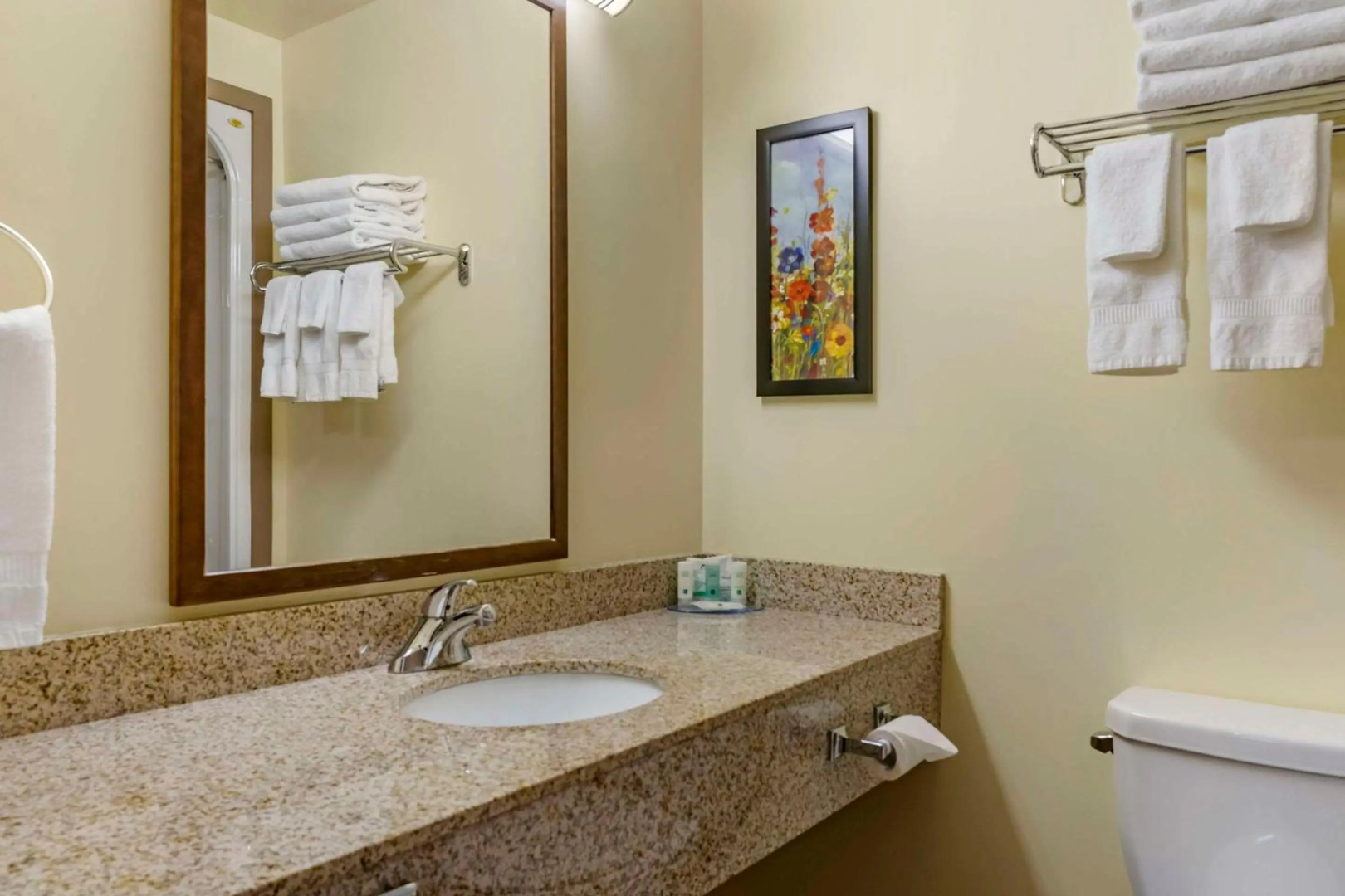 Quality Inn & Suites