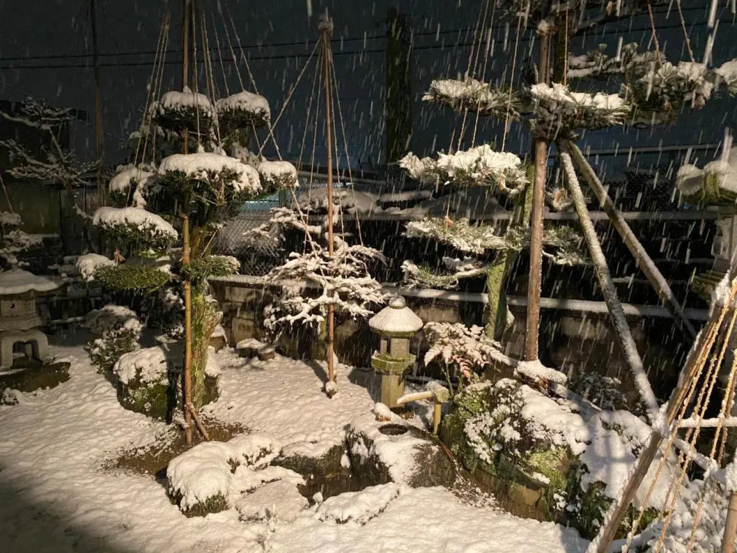 Relaxing House de Akemi