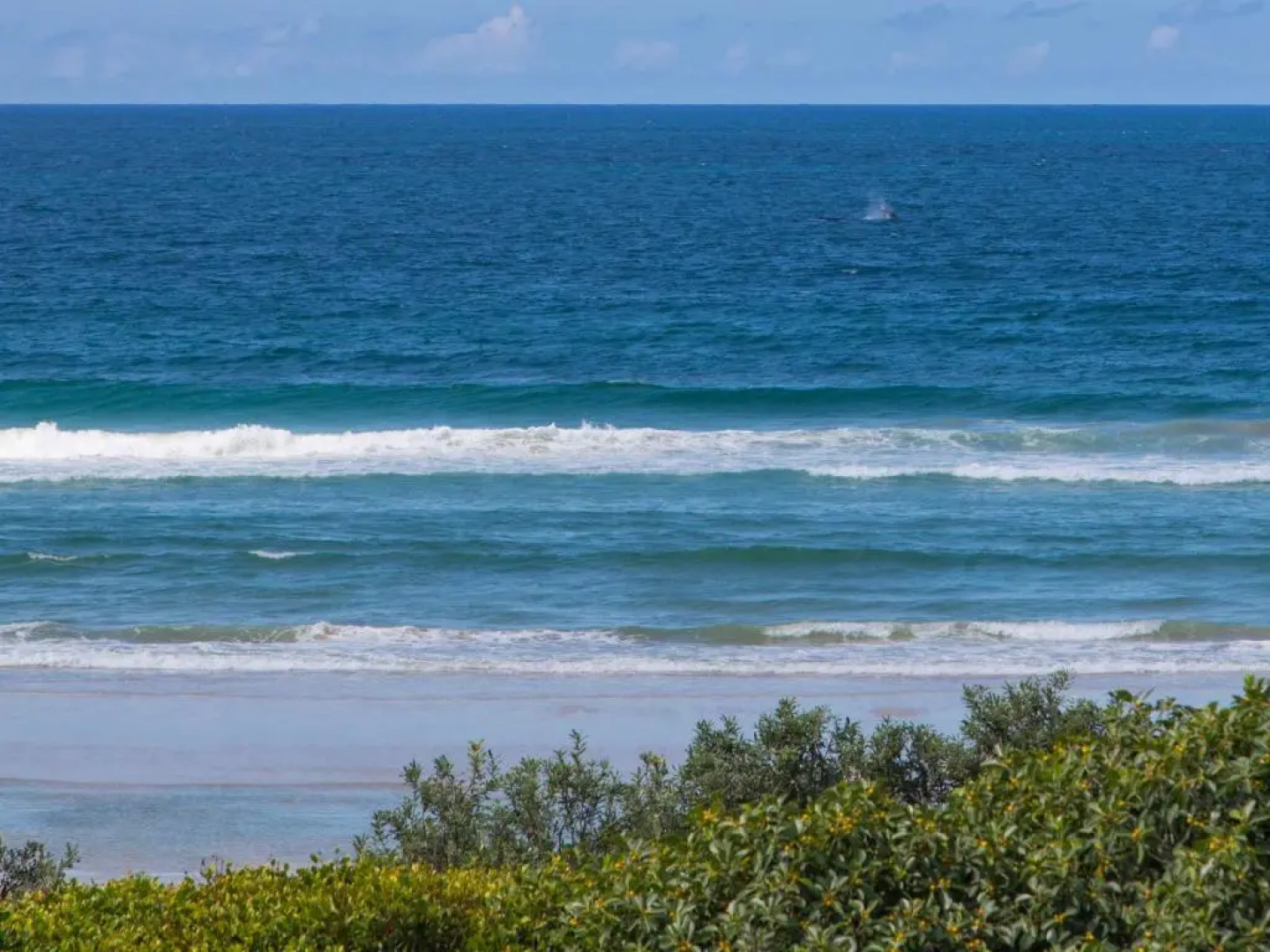 Shoreline Six With Ocean Views To See The Whales