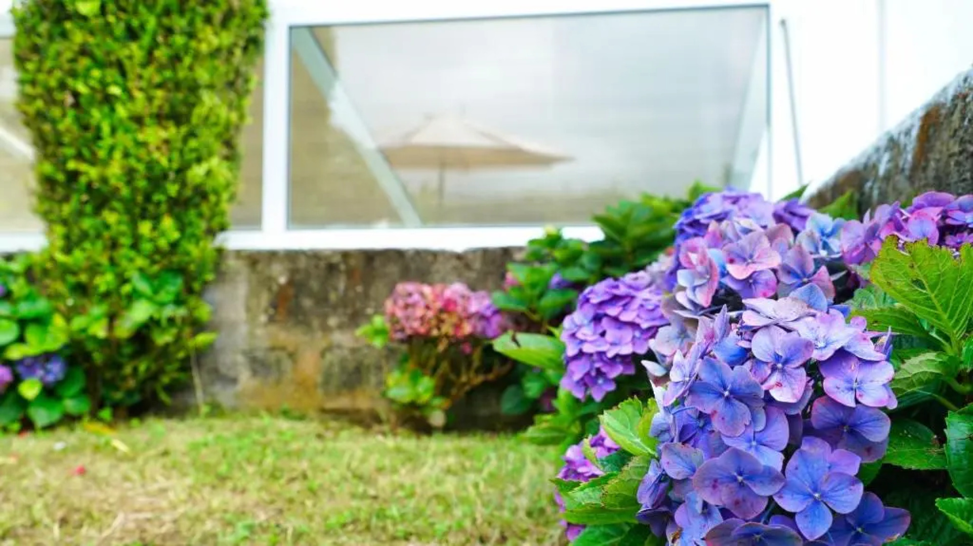 Casa da Horta Açores