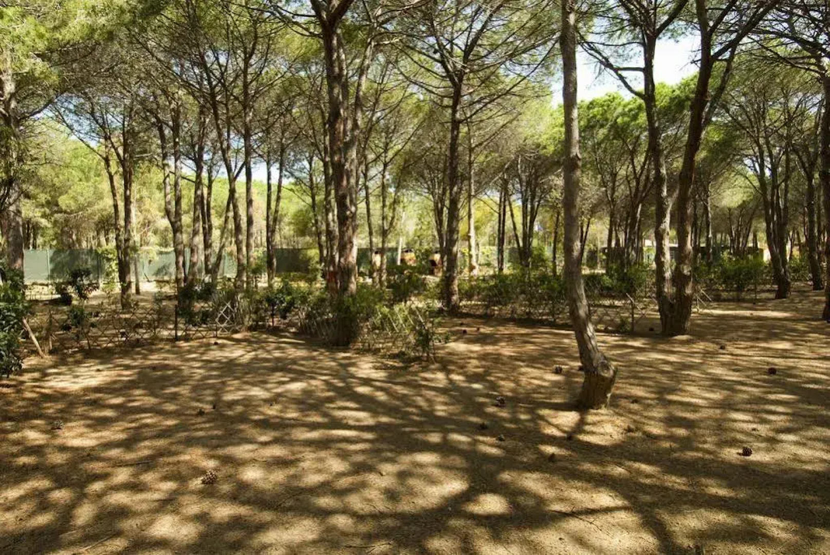 Villaggio Camping Spiaggia Del Riso