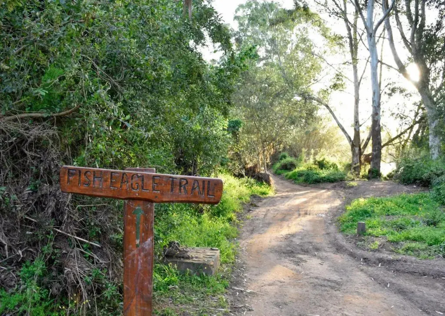 Stonehill River Lodge