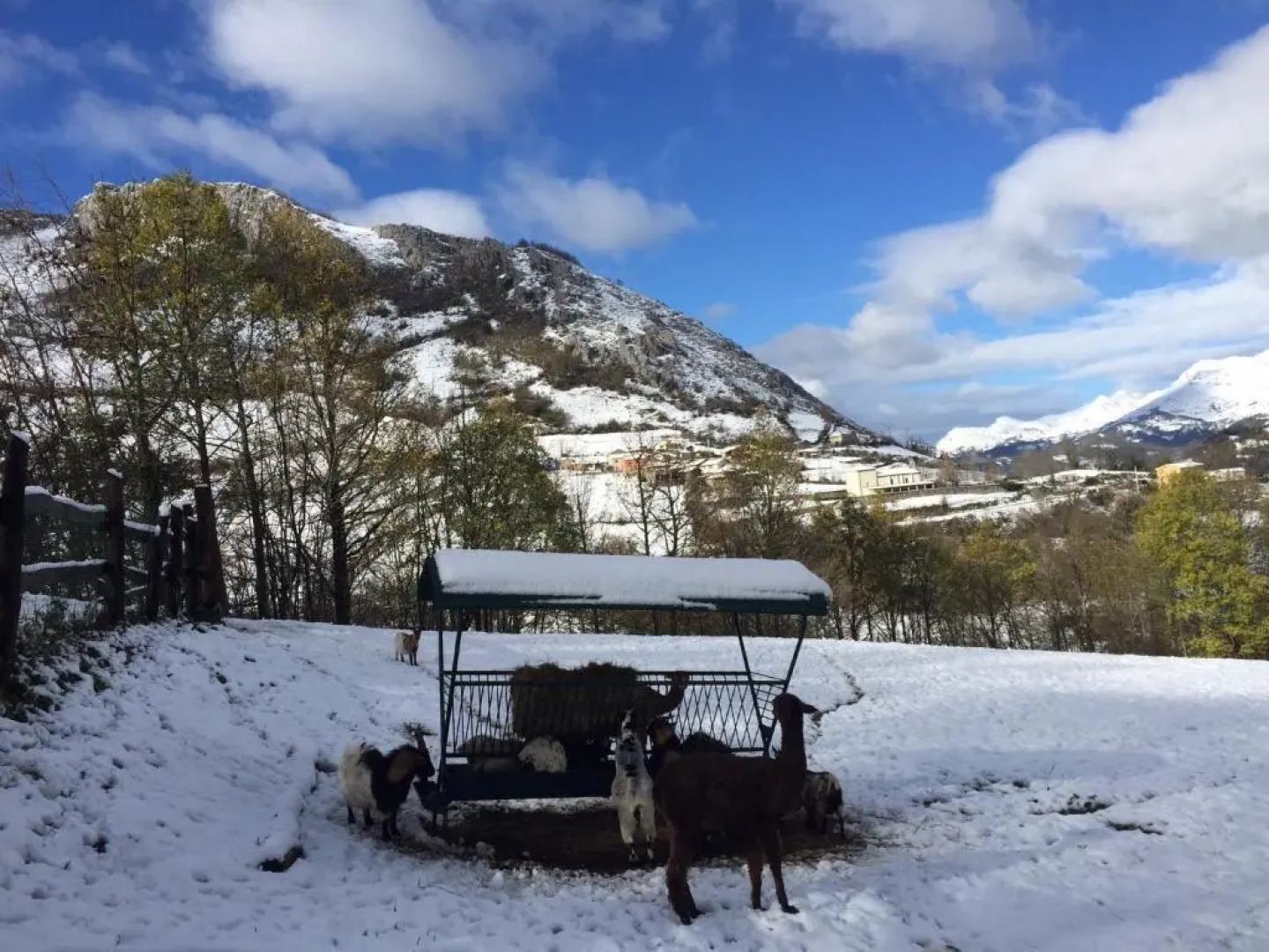 Casas Rurales Prieto