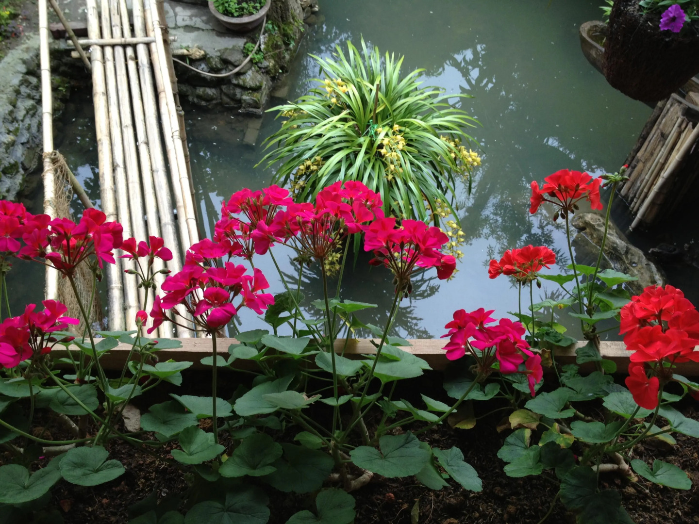 Stone Garden Homestay