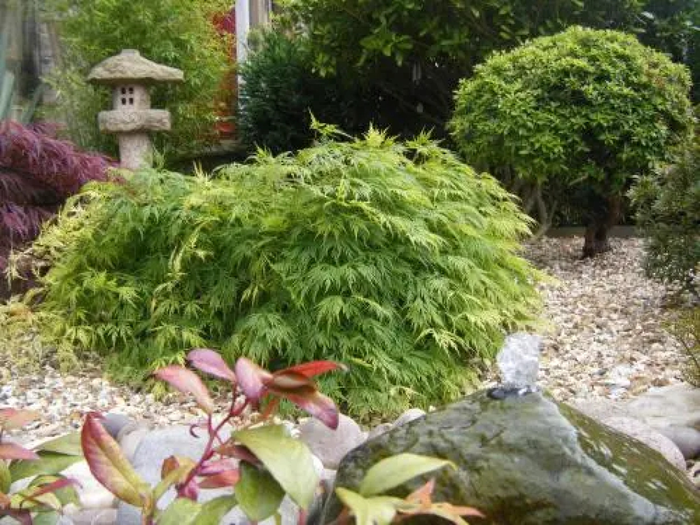 AmarAgua Guest House