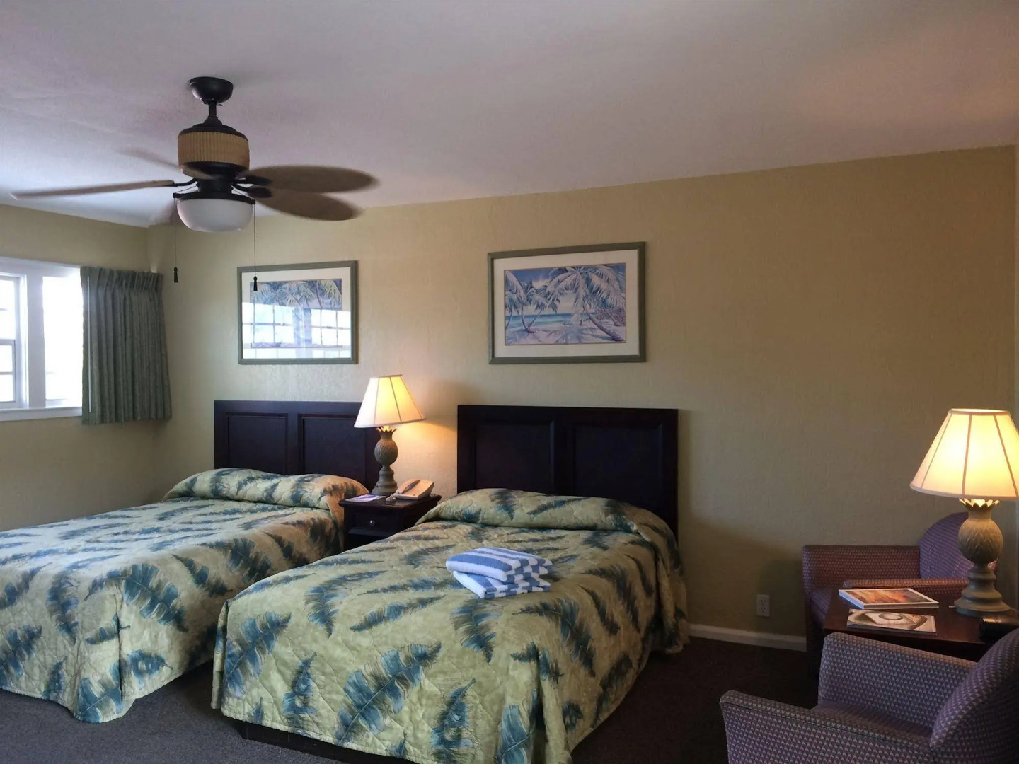 Coquina On The Beach