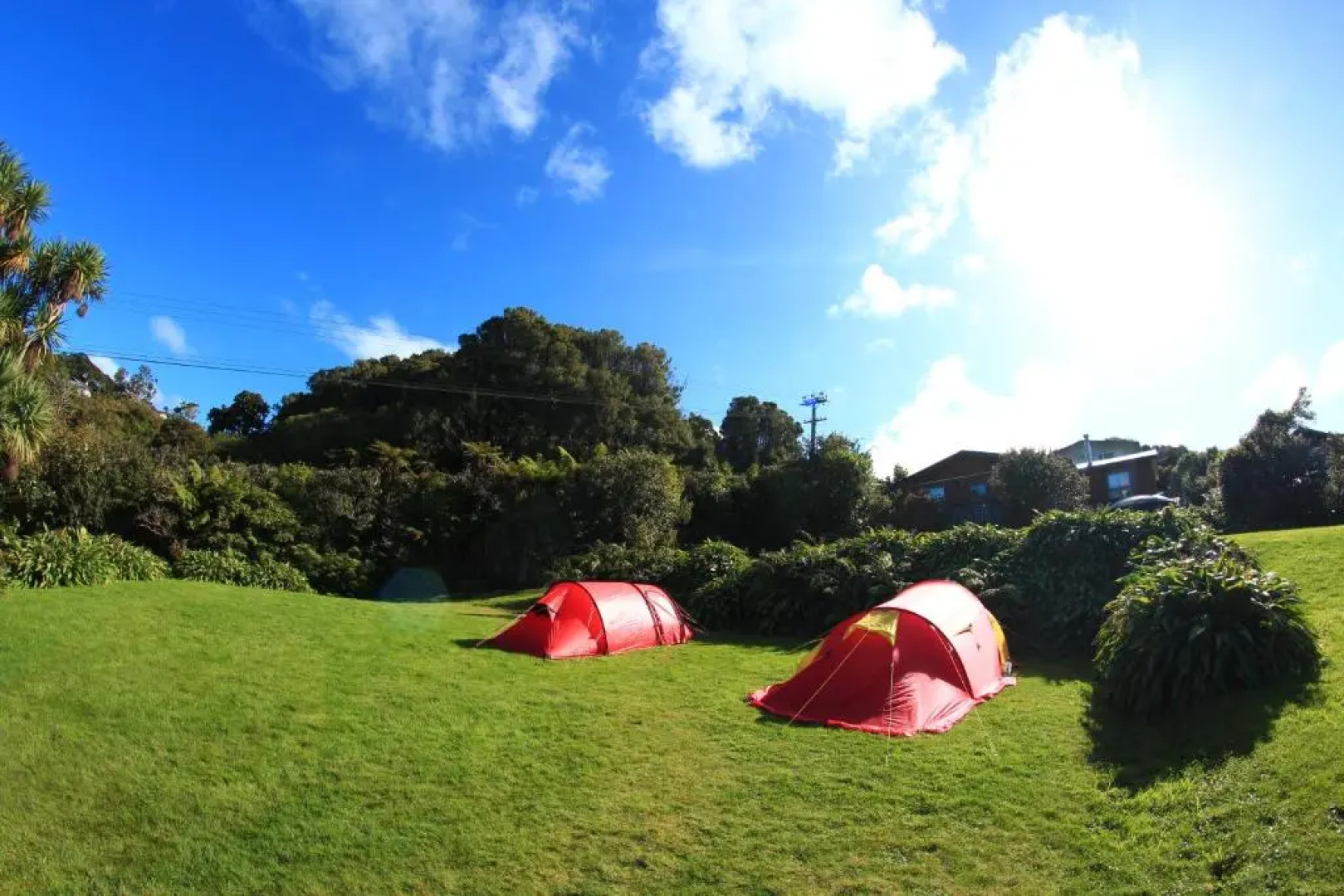 Stewart Island Backpackers