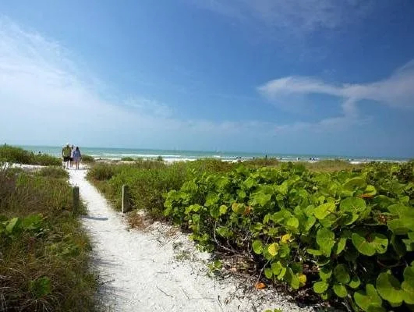 Pelicans Roost Gulf Front Condos