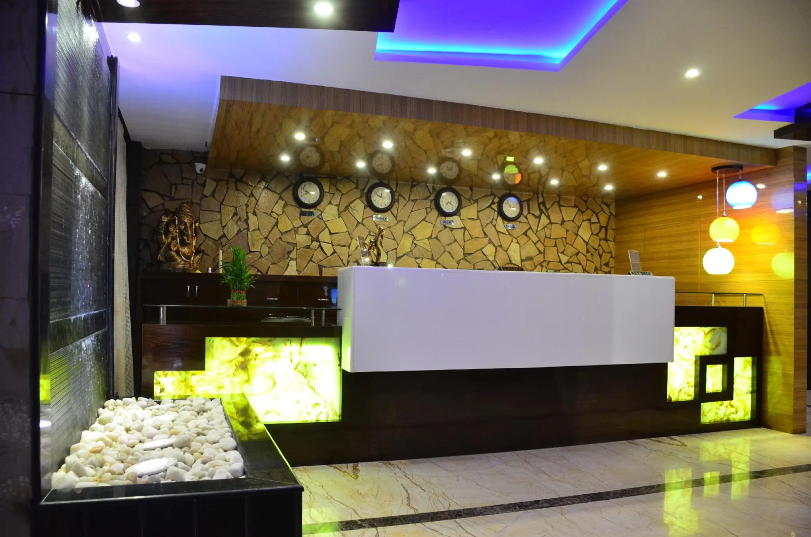 Dolphin Chocolate Inn