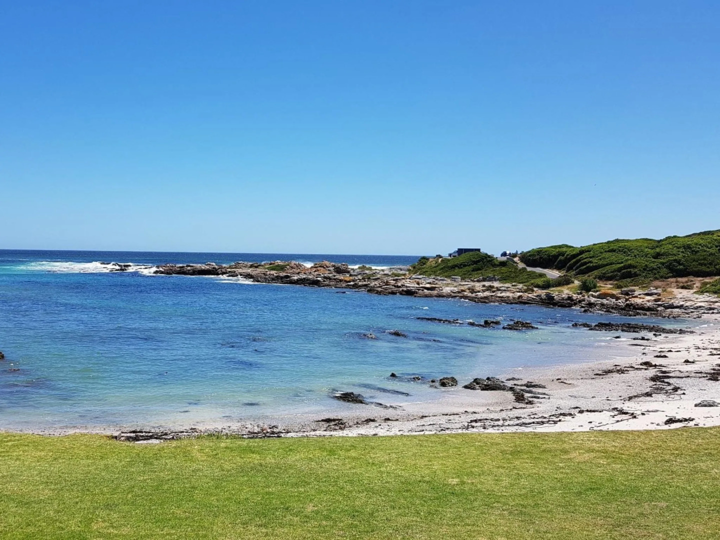 Royal Whale Watching