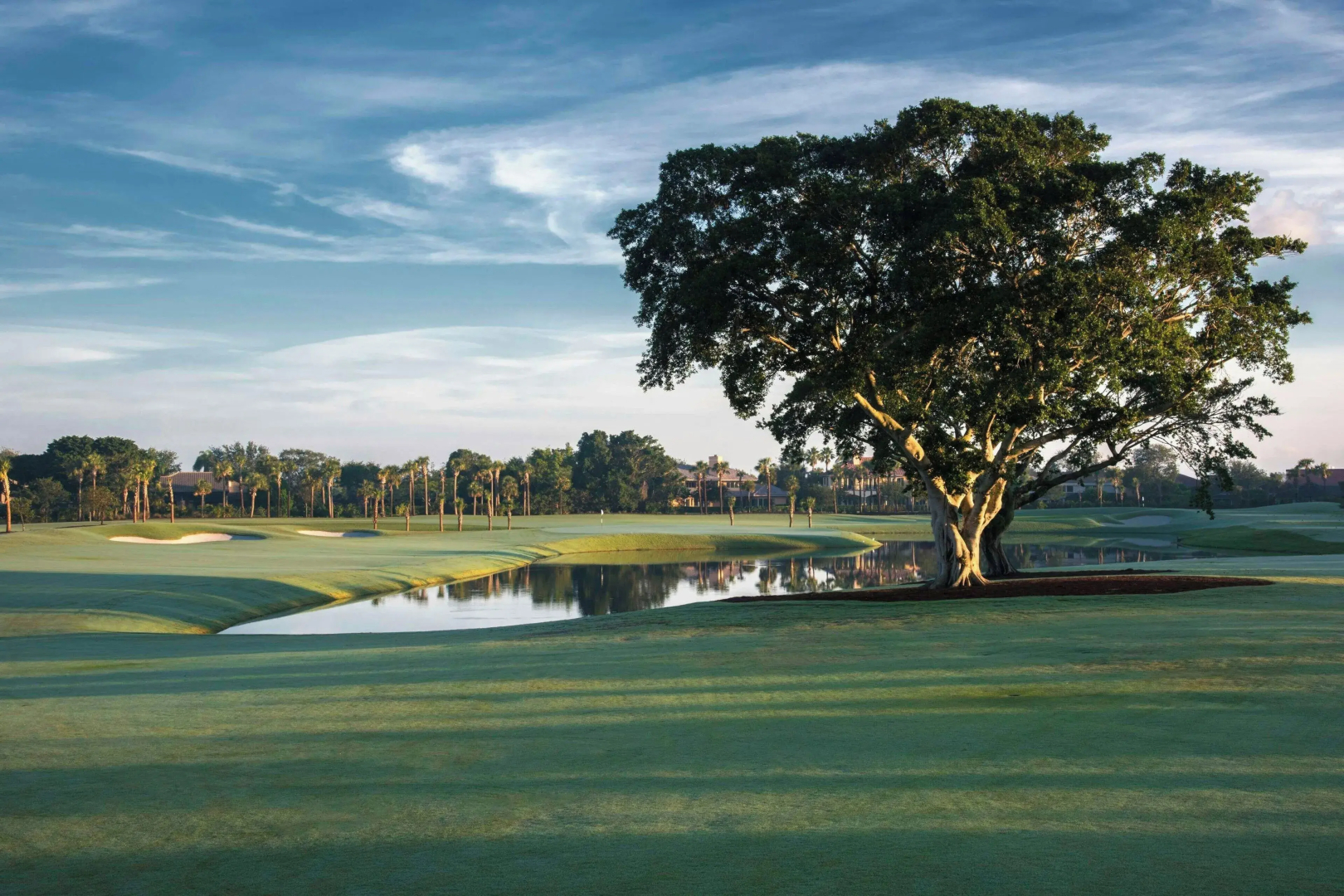 The Belgrove Resort & Spa, West Palm Beach, Autograph Collection