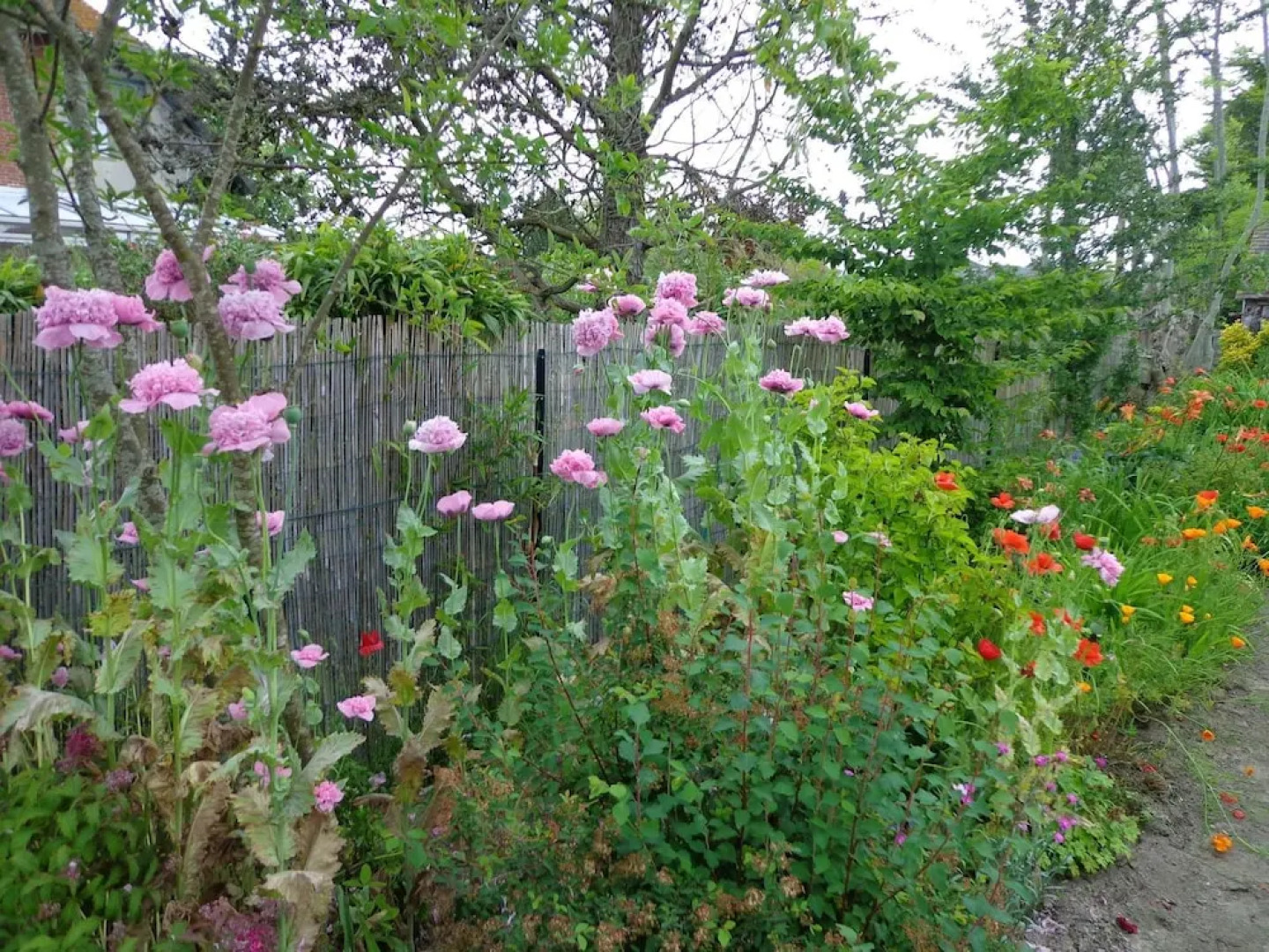 House With one Bedroom in Agon-coutainville, With Furnished Garden and