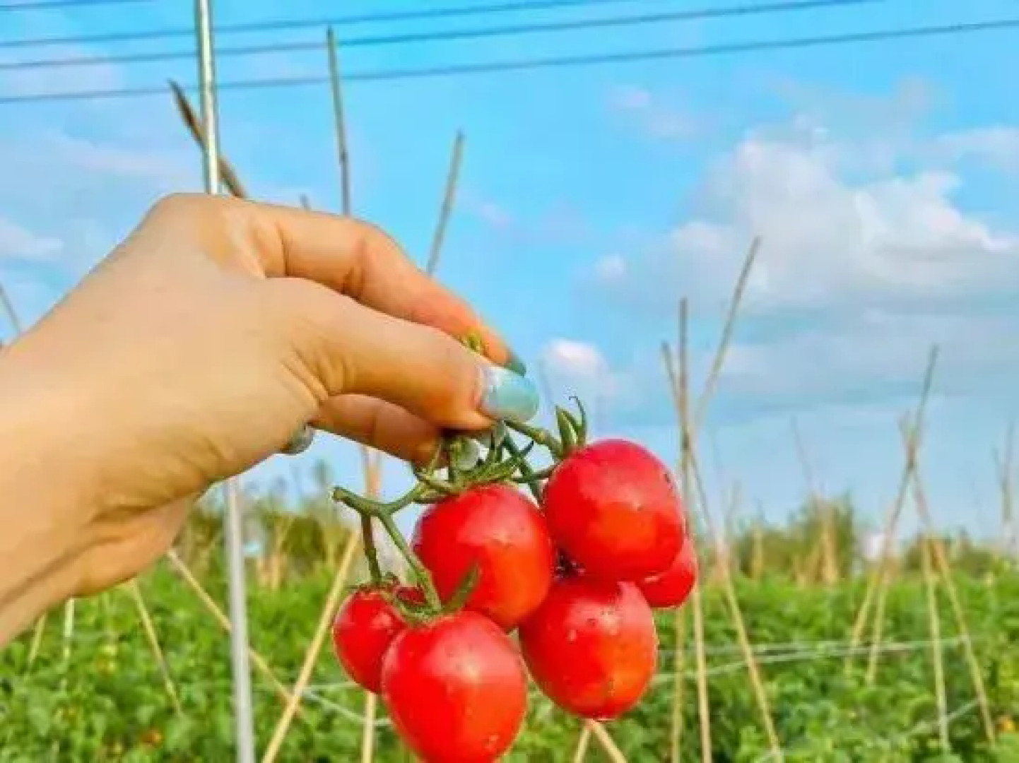Xitai Hotel Jiangmen Gudou Hot Spring