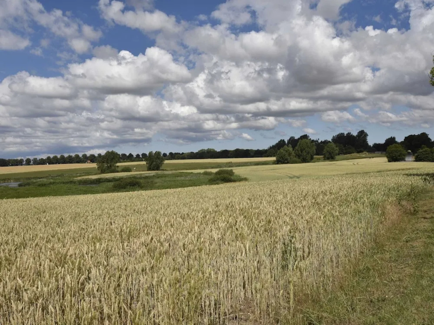 Wohnung in Garz mit Liegewiese