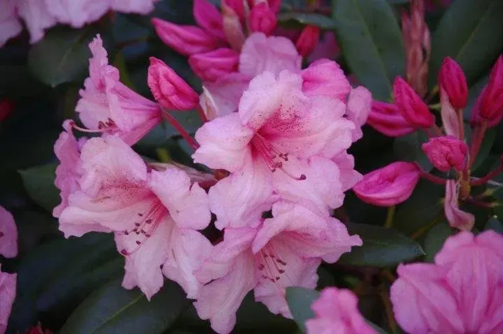 Serenity lodge bed and breakfast