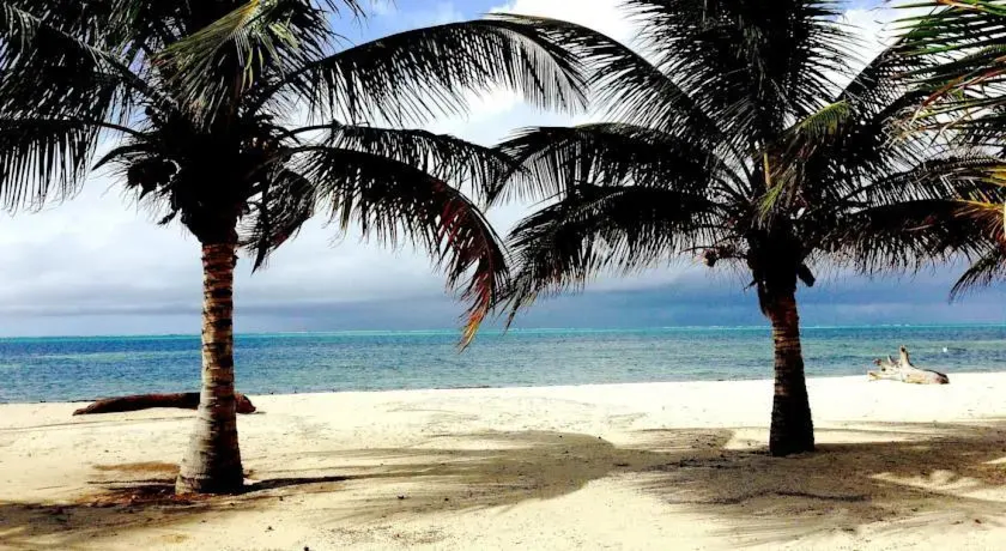 St. Thomas Royal Palm Watamu