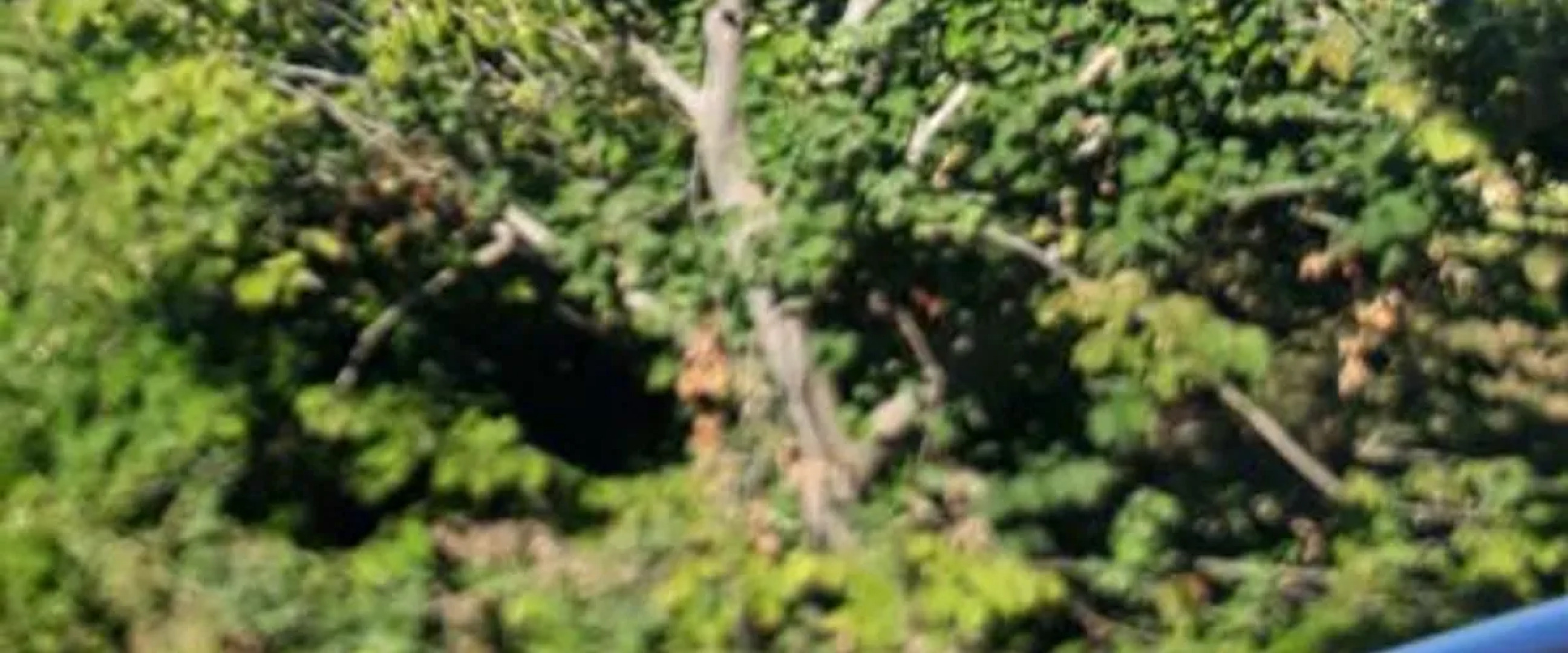 Kıyıköy Otel Zirve