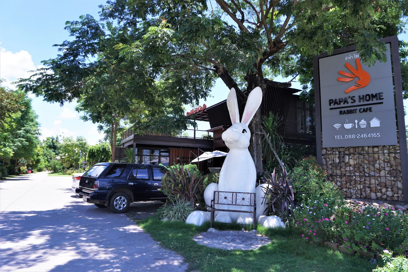 Papa's Home and Rabbit cafe