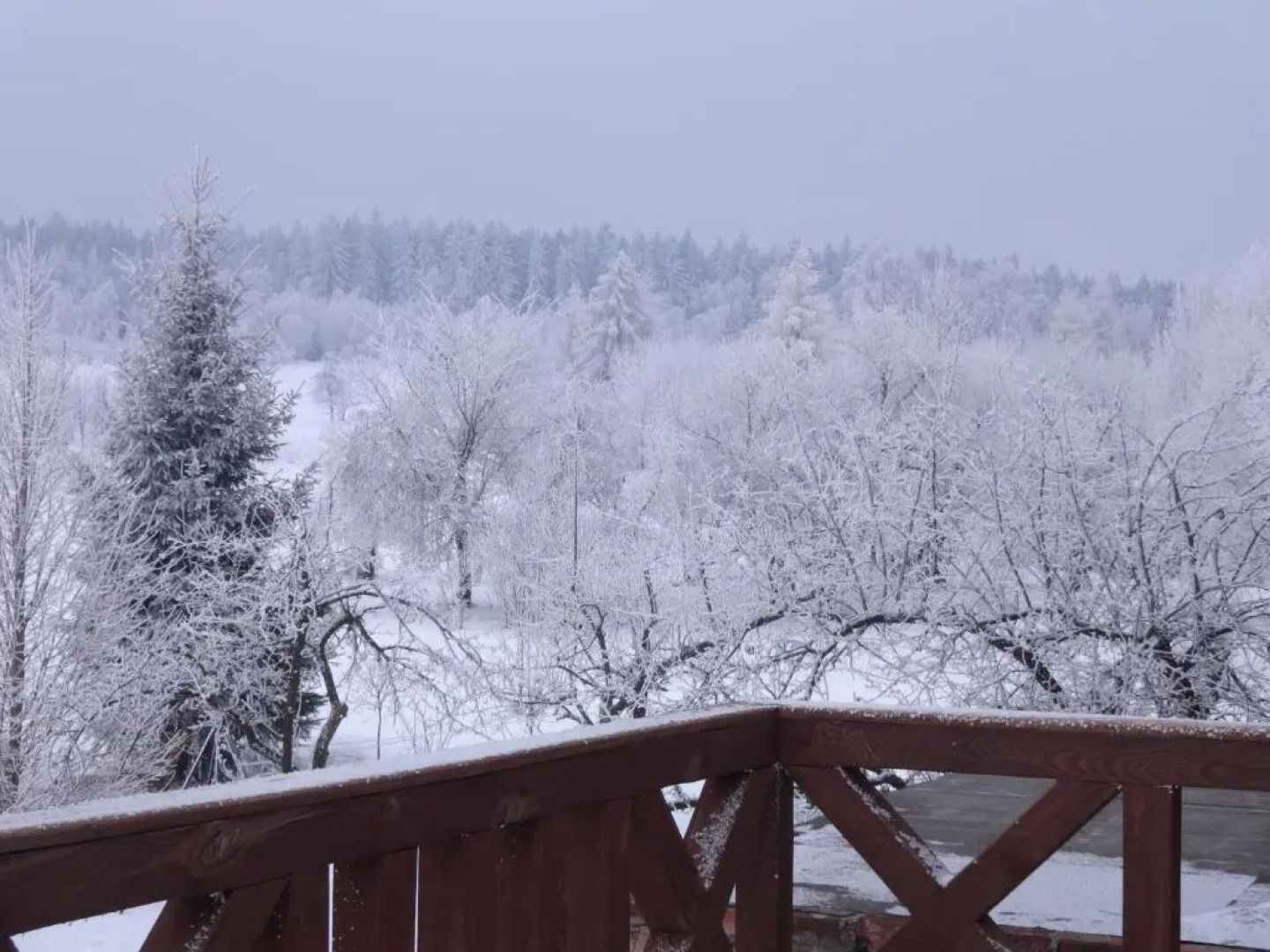 Pokoje Gościnne Przy Lesie