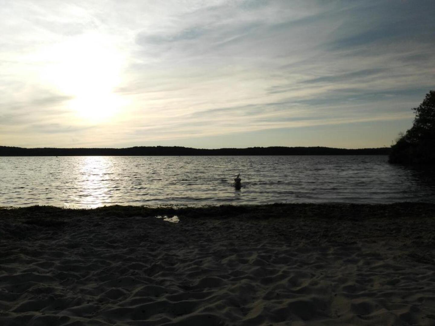 MOBIL HOME 43 dans Camping 4 Etoiles