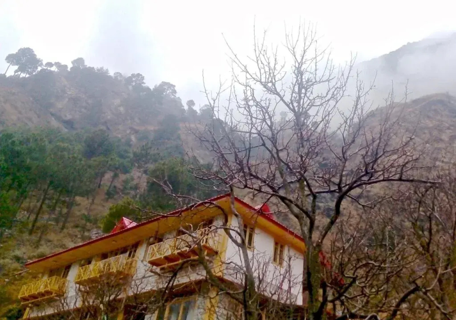 Devat Farm Cottage Tirthan Gushaini