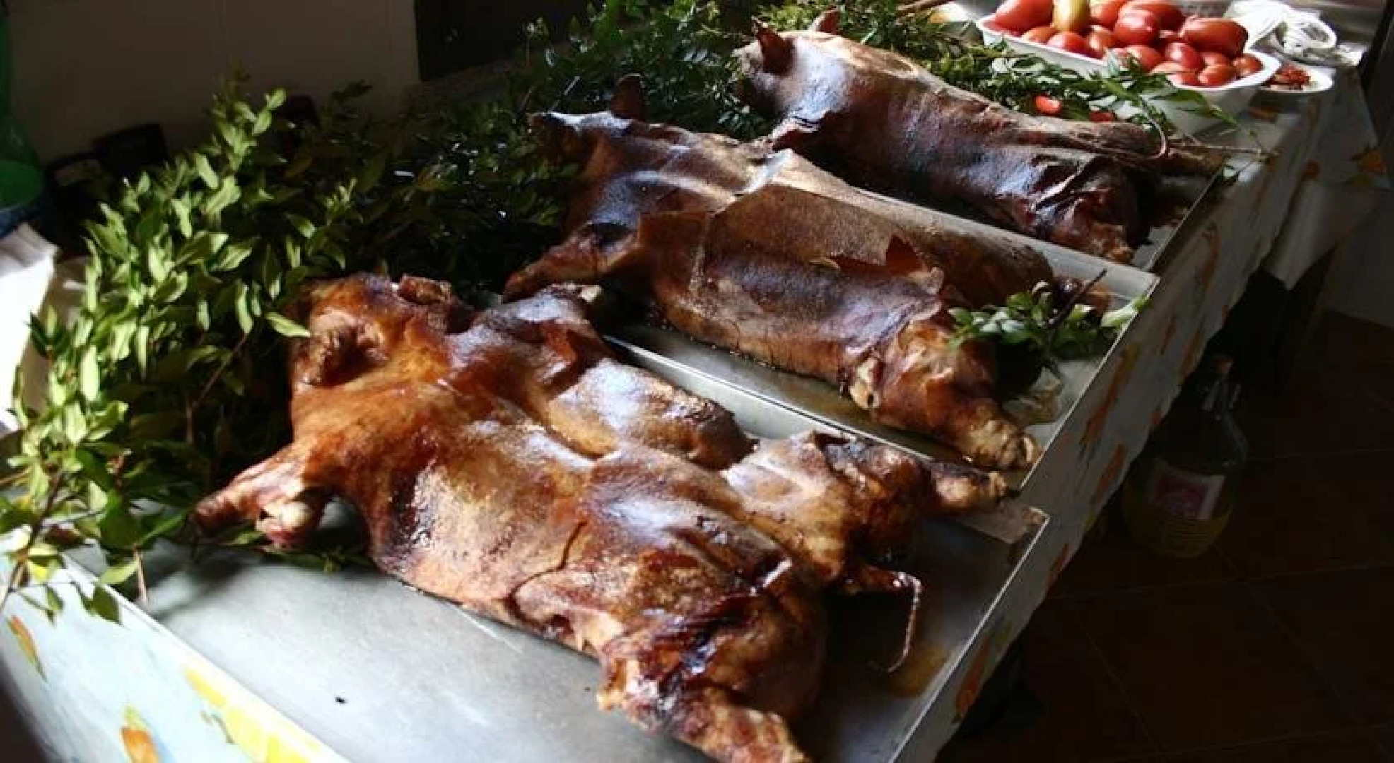 Agriturismo Costa Verde