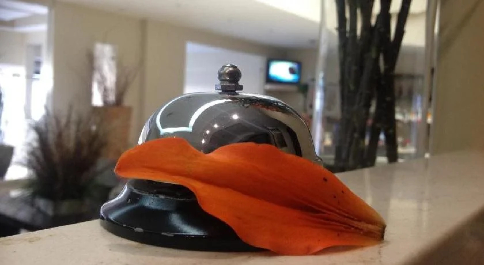 Hotel Magno Tepatitlan