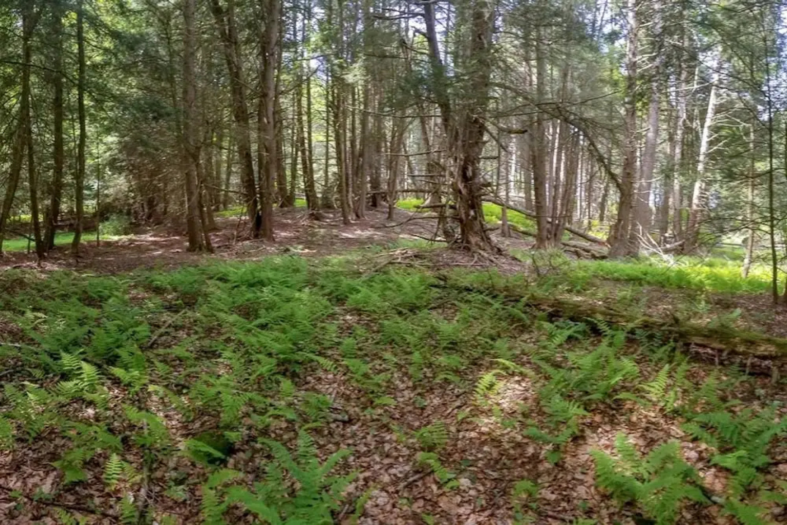 Tentrr - Fields of Dreams at Callicoon