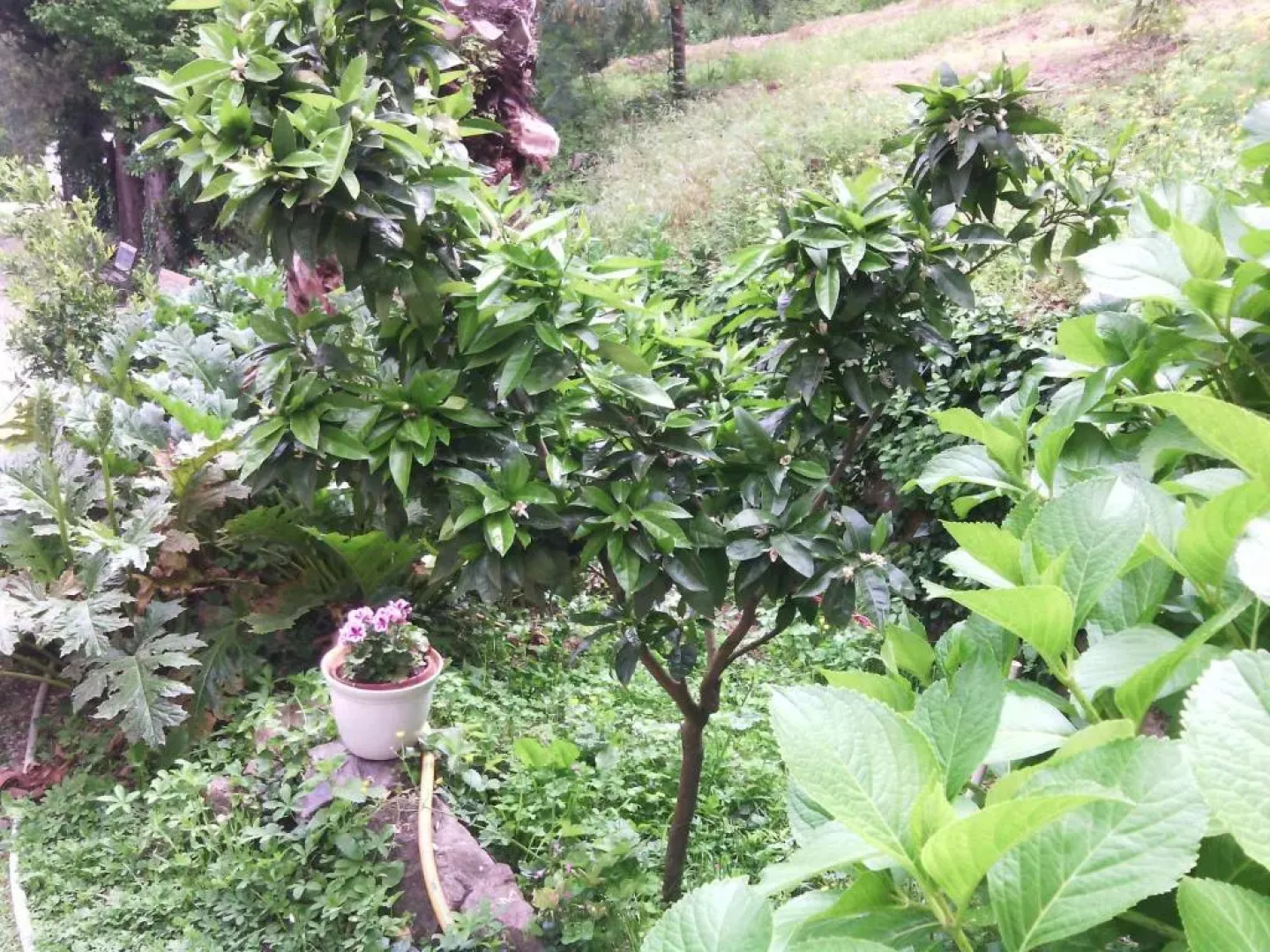 Domaine de La Fouquette